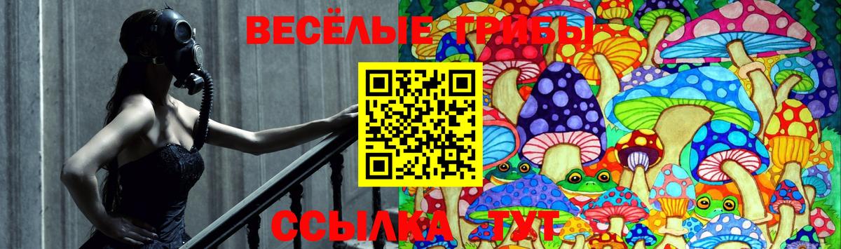Псилоцибиновые грибы мицелий Дивногорск