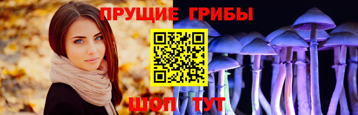 Псилоцибиновые грибы GOLDEN TEACHER  Дивногорск  Галлюциногенные грибы MAGIC MUSHROOMS 